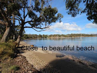 385 Randalls Bay Road, Eggs And Bacon Bay