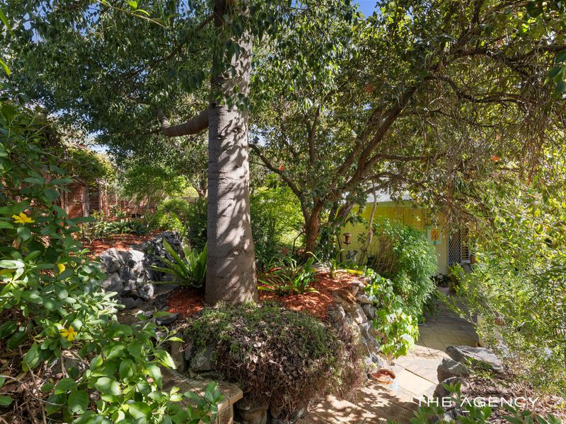 59 Curven Road, Hamilton Hill