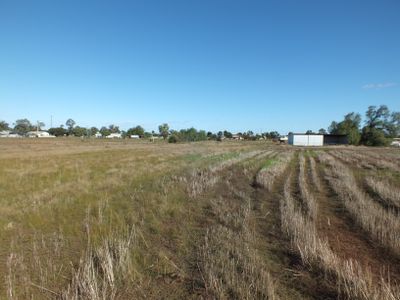 51 Connors Lane West Wyalong, West Wyalong