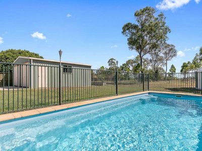 66 Ibis Boulevard, Eli Waters