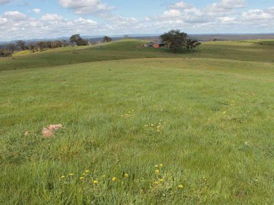 Lot 6  Lot 6  Walker Road, Heathcote