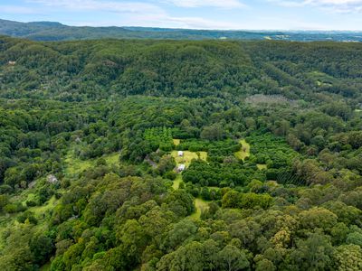 1005 TUNTABLE CREEK ROAD, Nimbin