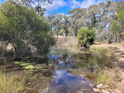 3 VILLAGE ROAD, Willows