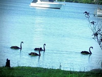 1 Blanch Street, Lemon Tree Passage