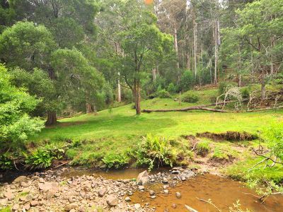 Gardners Bay