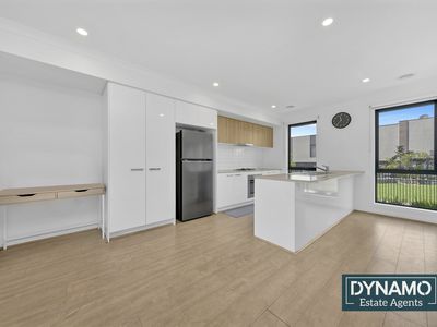 11 Cerulean Walk, Craigieburn