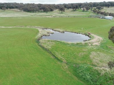 823 Peabody Road, Molong