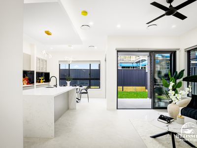 86 Feathertail Avenure, Marsden Park