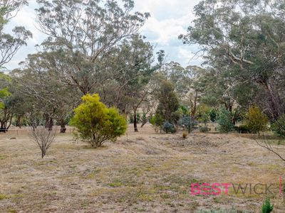 507 Browns Creek Road, Browns Creek