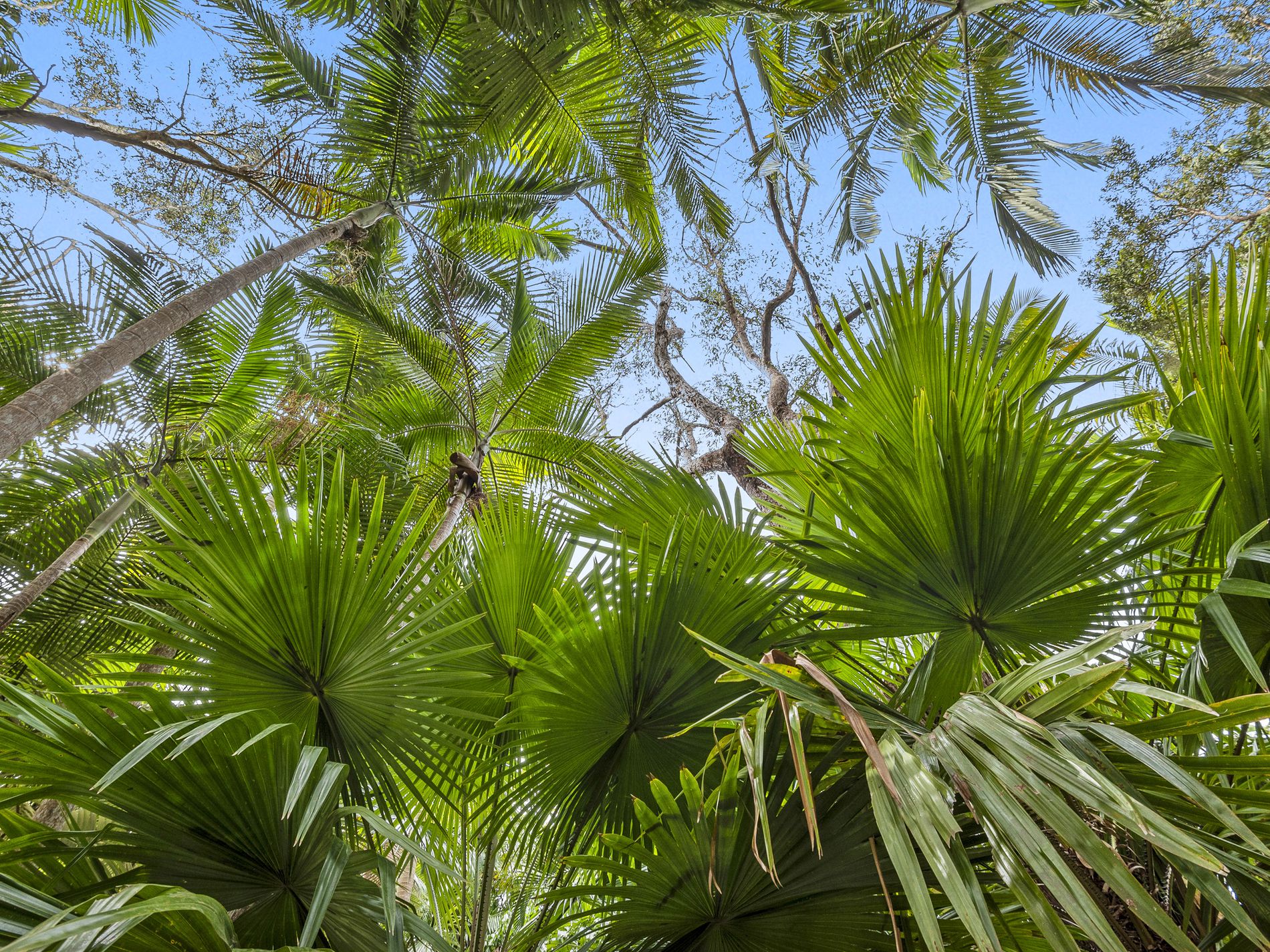 3 Whipbird Place, Doonan