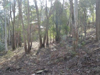 44 Christensen Street, Sawmill Settlement