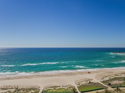 16D / 973 GOLD COAST HWY, Palm Beach