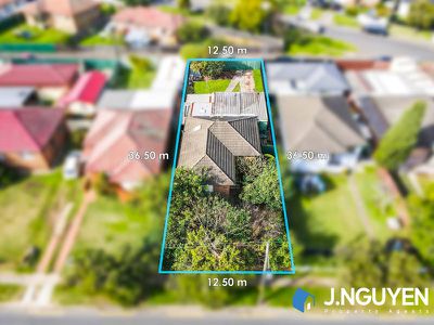 131 Woodville Road, Chester Hill