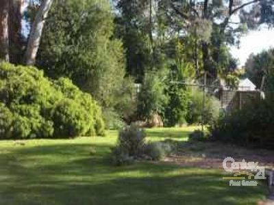 65 Somerville Road, Hampton Park