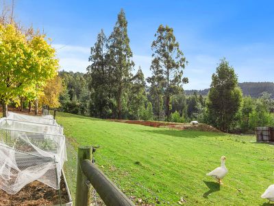 73 Chambers Road, Franklin