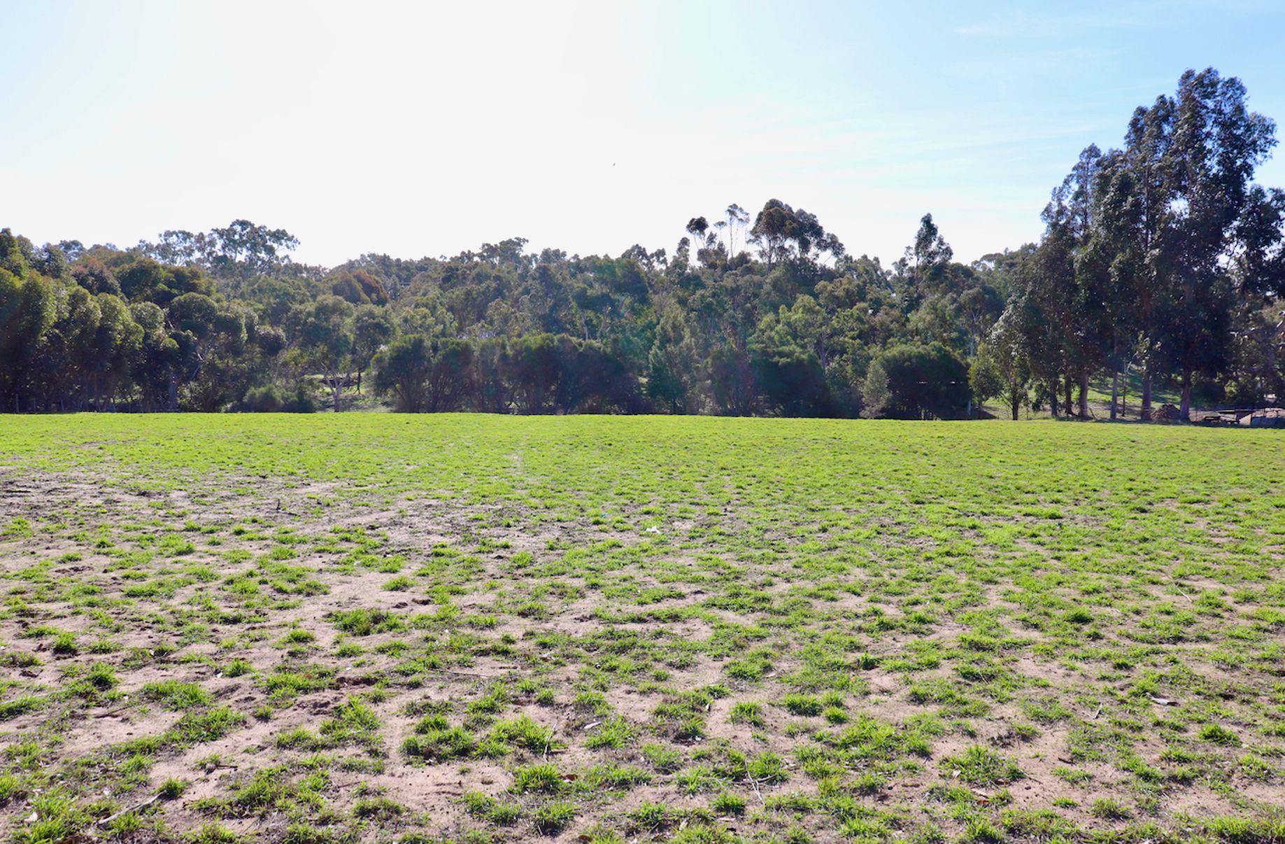 145 Common Road, Inverleigh