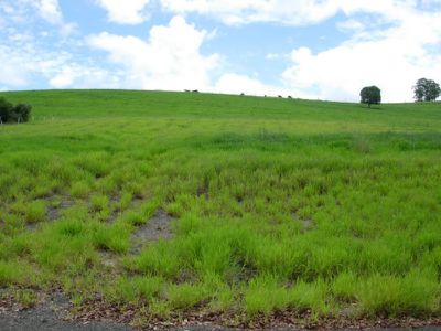 25 George Street, Brooloo