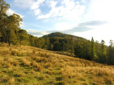 1 Halls Track Road, Pelverata
