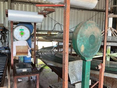 94 SOUTH JOHNSTONE ROAD, Boogan