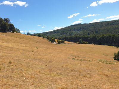 Lot 3 Ferrar Road , Geeveston
