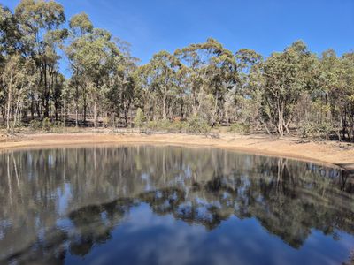 1622 Dookie-Violet Town Road, Koonda