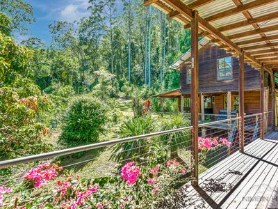 4 / 3565 Kyogle Road, Mount Burrell via, Nimbin
