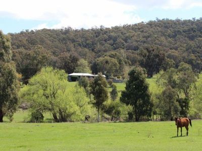 811 Glen Creek Road BARJARG, Mansfield
