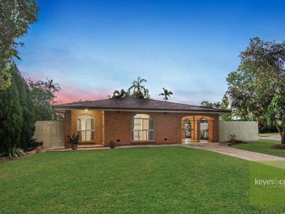 31 Jacaranda Crescent, Annandale