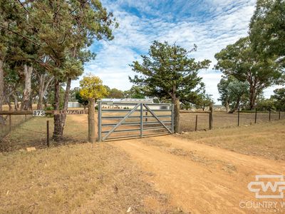 873 Polhill Road, Wellingrove