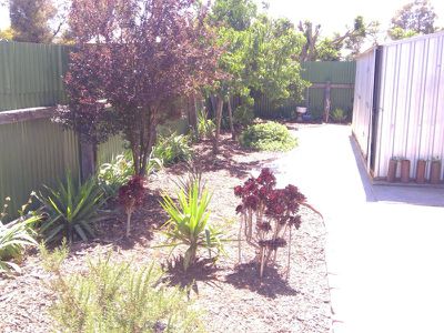 30 BELMONT, Cohuna