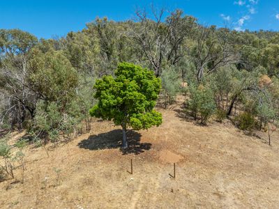 Lot 2 Shelley Road, Walwa