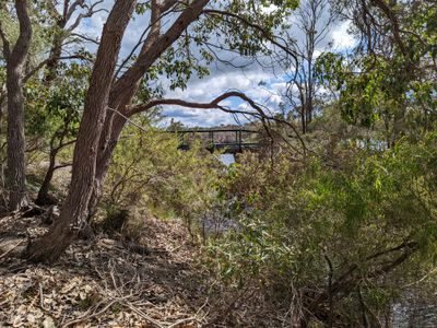 24 Flora Grove, Molloy Island