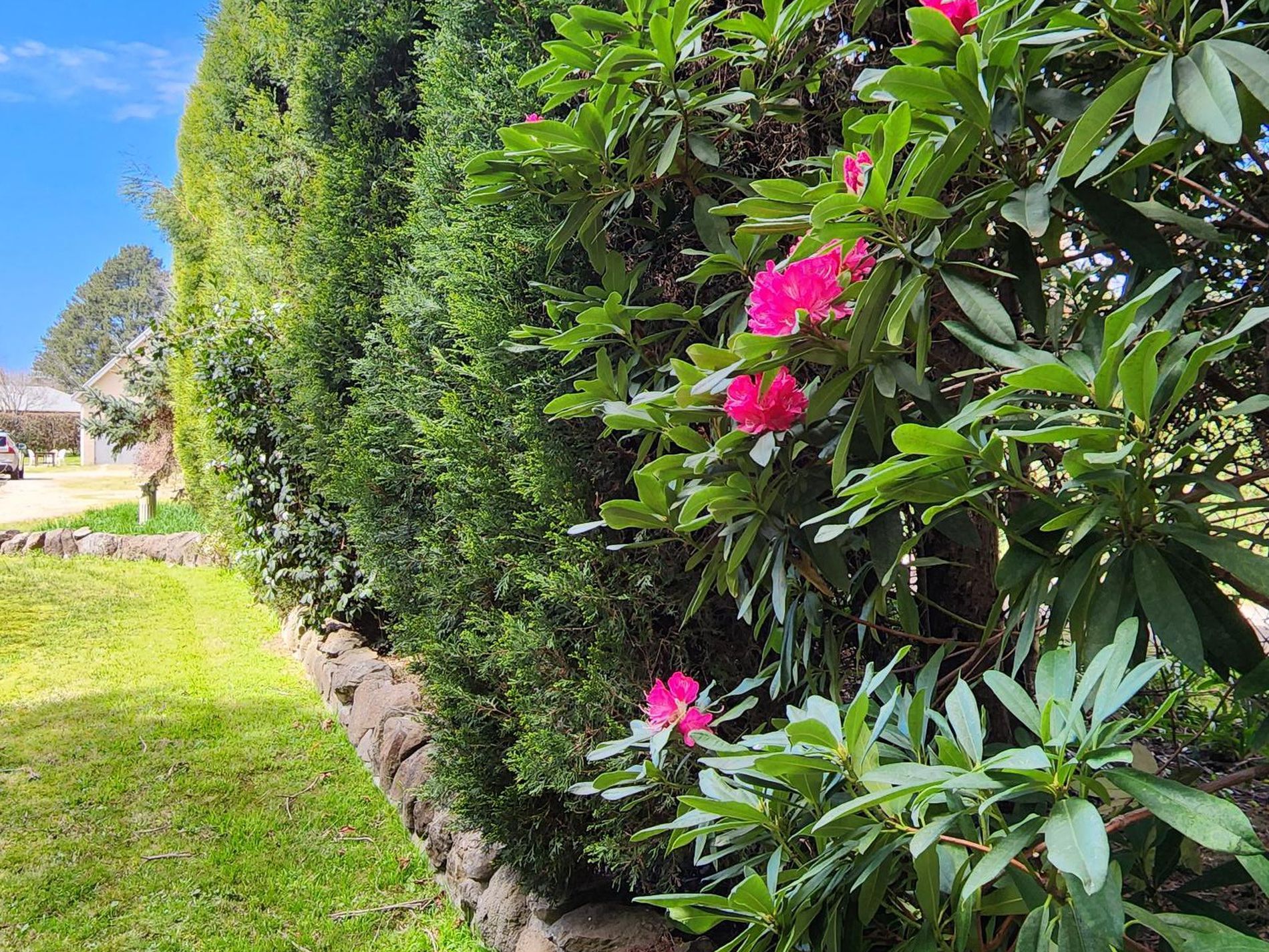 21 Sullivan Rd, Burradoo