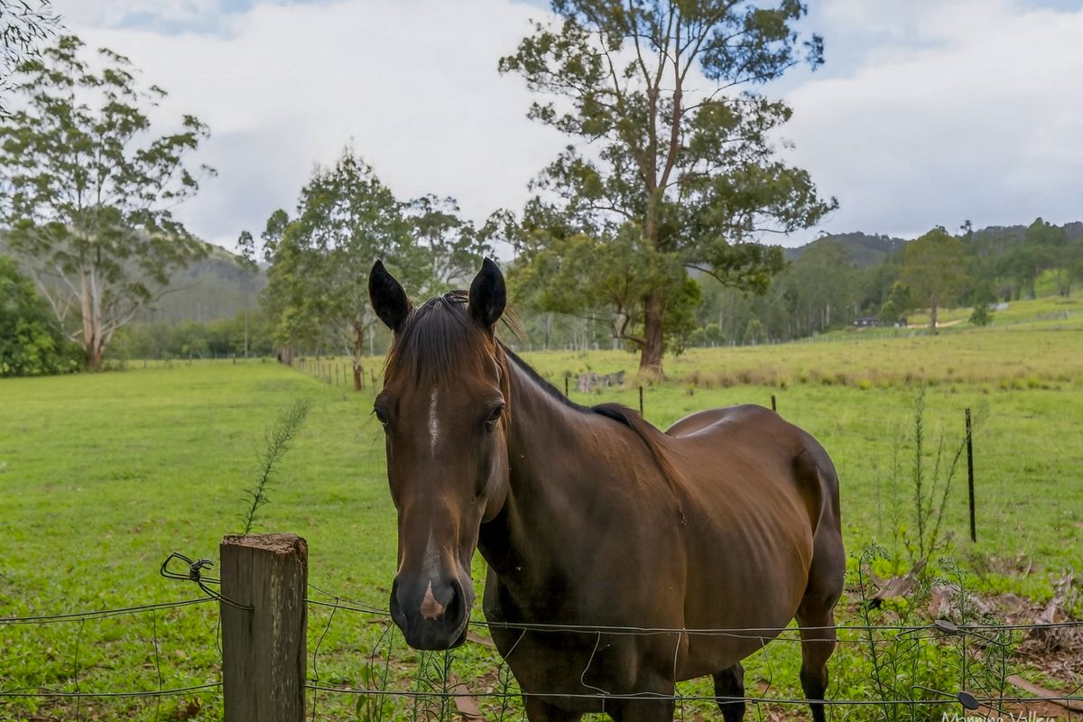 64 Millers Road, Bobin