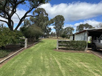 Bradview / 1009 Warrumbungles Way, Coolah