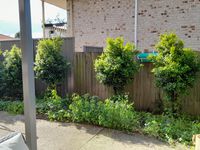 34 / 88 Bleasby Road, Eight Mile Plains