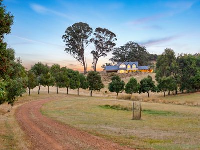 443 Old Tonga Road, Mansfield