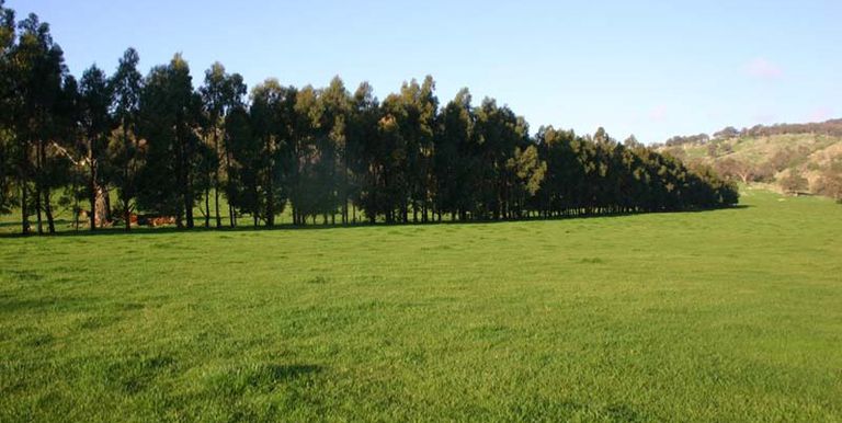 Sheans Creek Road, Euroa