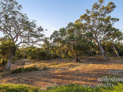 305 Holmes Road, Forrestfield
