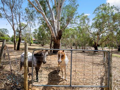 3 DEREK DRIVE, Broadford