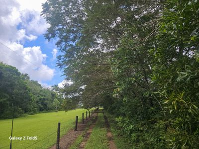 1741 Endeavour Valley Road, Cooktown