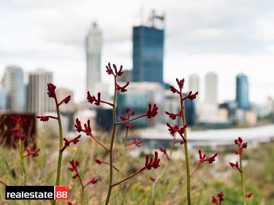 3D / 1303 Hay Street, West Perth