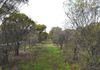 Lot 18493 Tutanning Road, East Pingelly