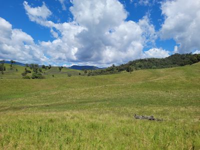 472 Neringla Road, Neringla