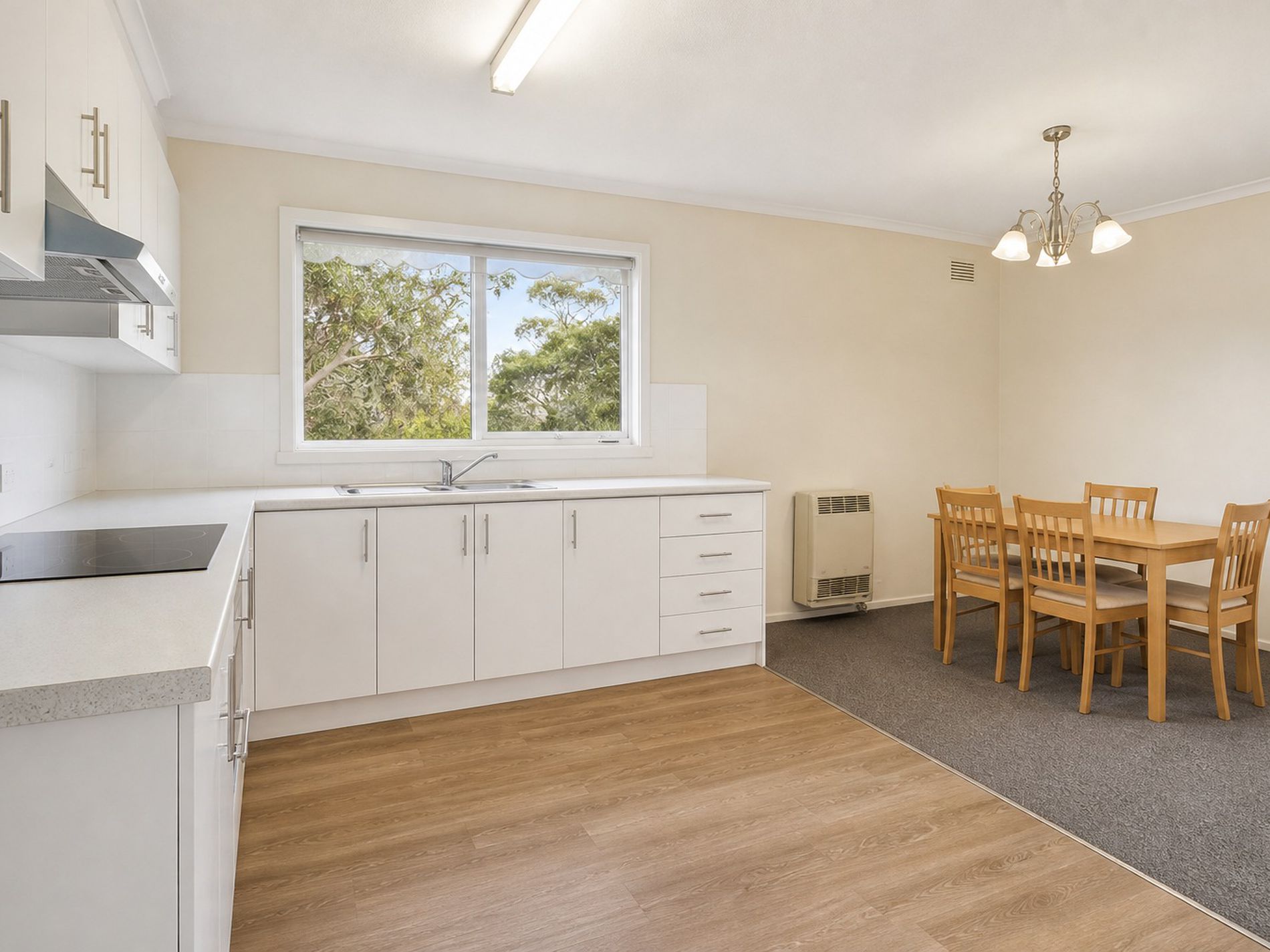 16 Adina Street, Telopea