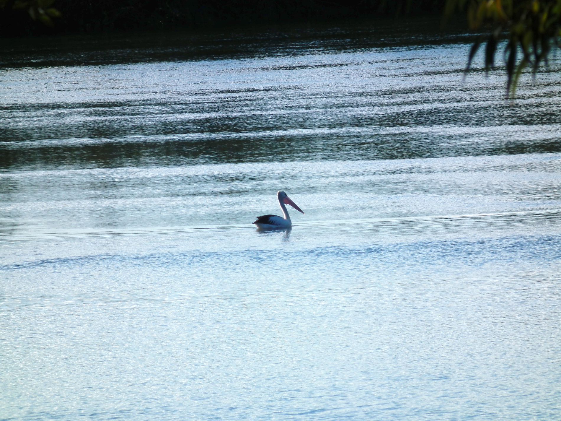 2 / 137 Sunset Boulevarde, Tweed Heads West