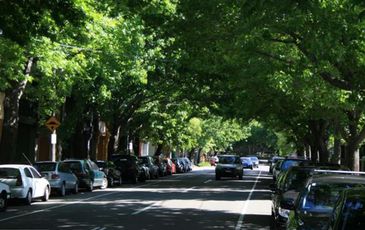 143 Baptist Street, Redfern