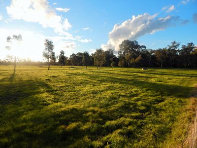 149 Flowerday Lane, Murrabit West