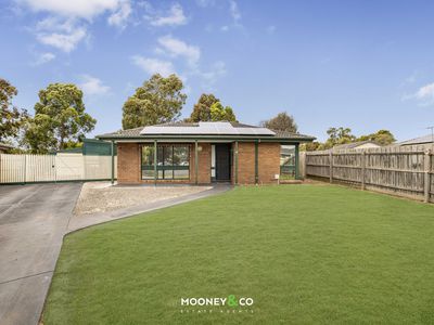 16 Kennedy Court, Cranbourne North