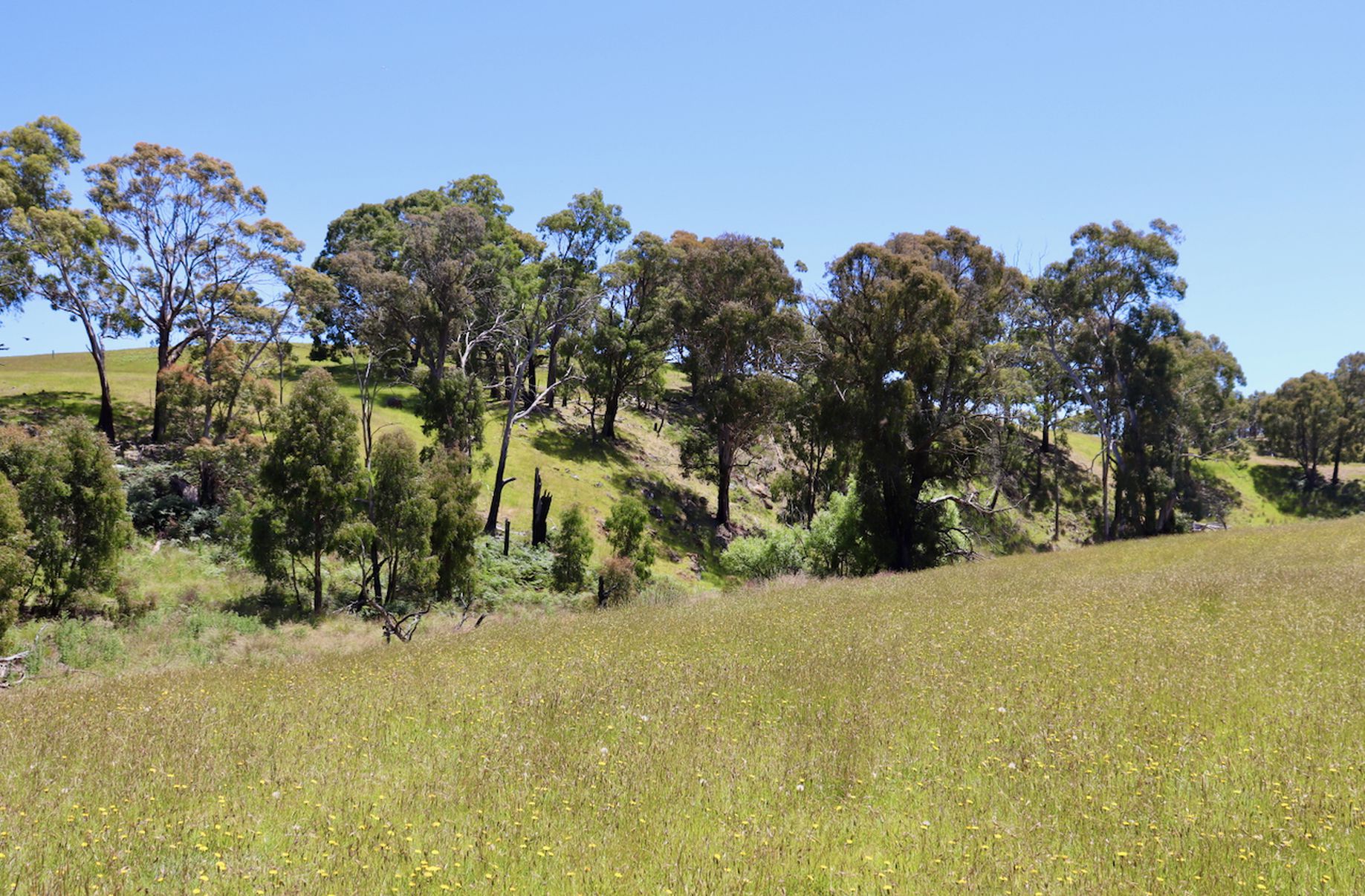 Lot 13, 13A, 13B, 31A &, 31C BRIDGE ROAD, Grenville